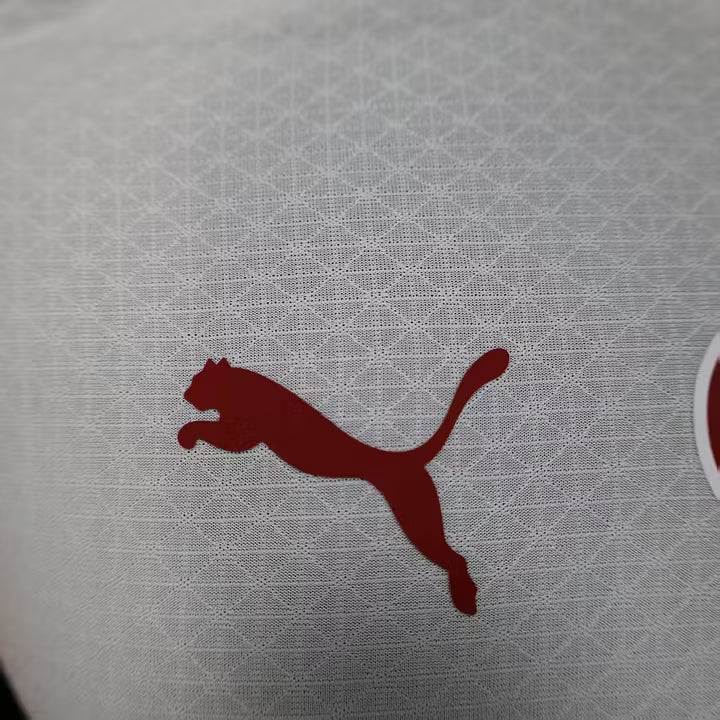 2025/2026 Galatasaray Away Kit
