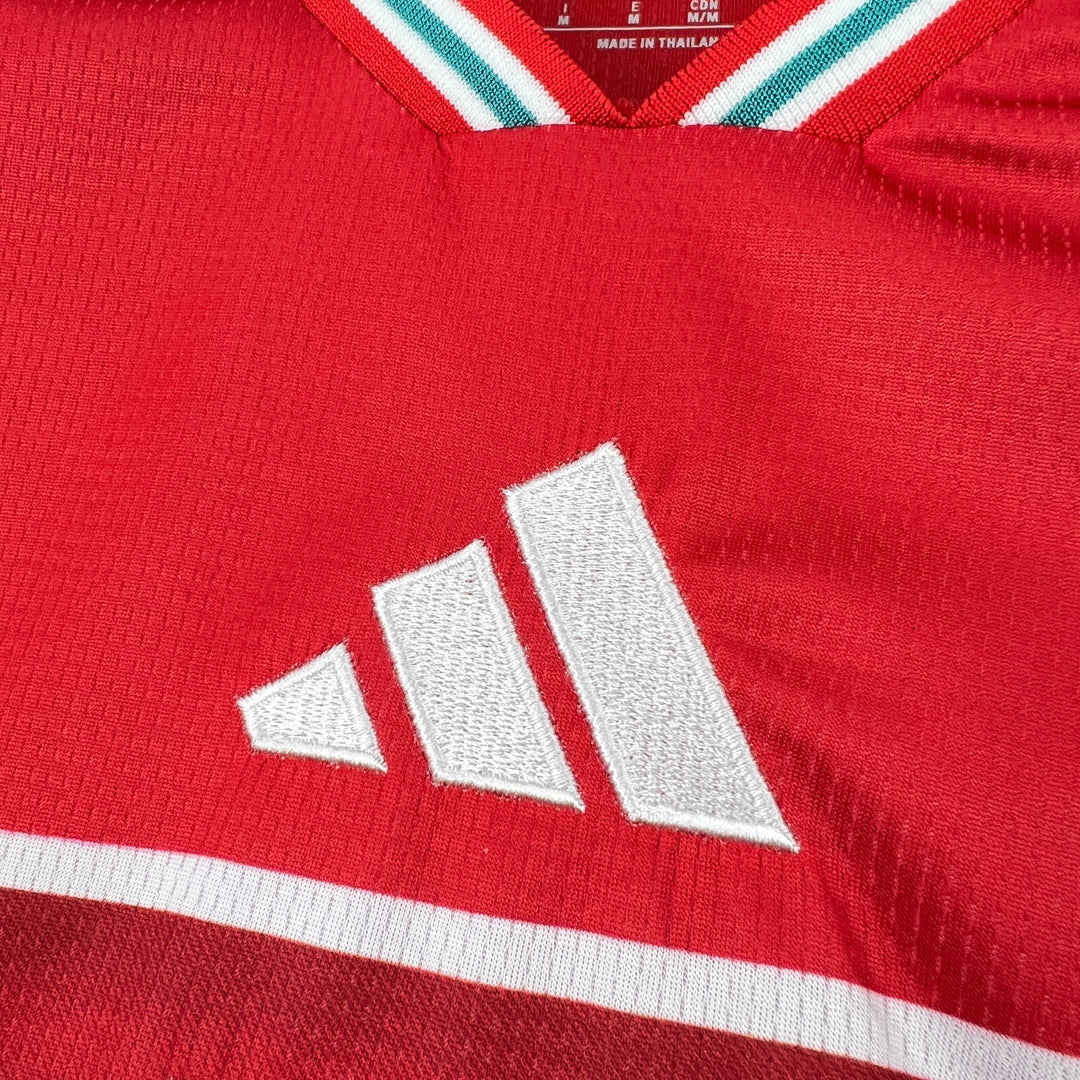 2026 Wales Home World Cup Kit Fan Version