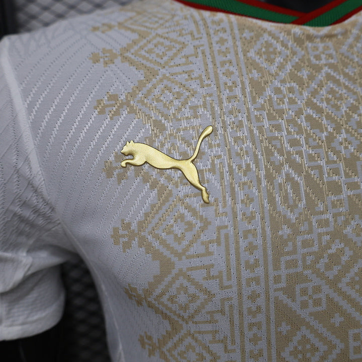 2026 Morocco Away World Cup Football Shirt - Player Version
