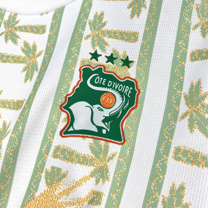 2026 Cote d'Ivoire Away World Cup Kit Fan Version