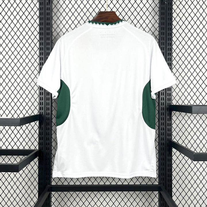2026 South Africa Springbok Away Jersey