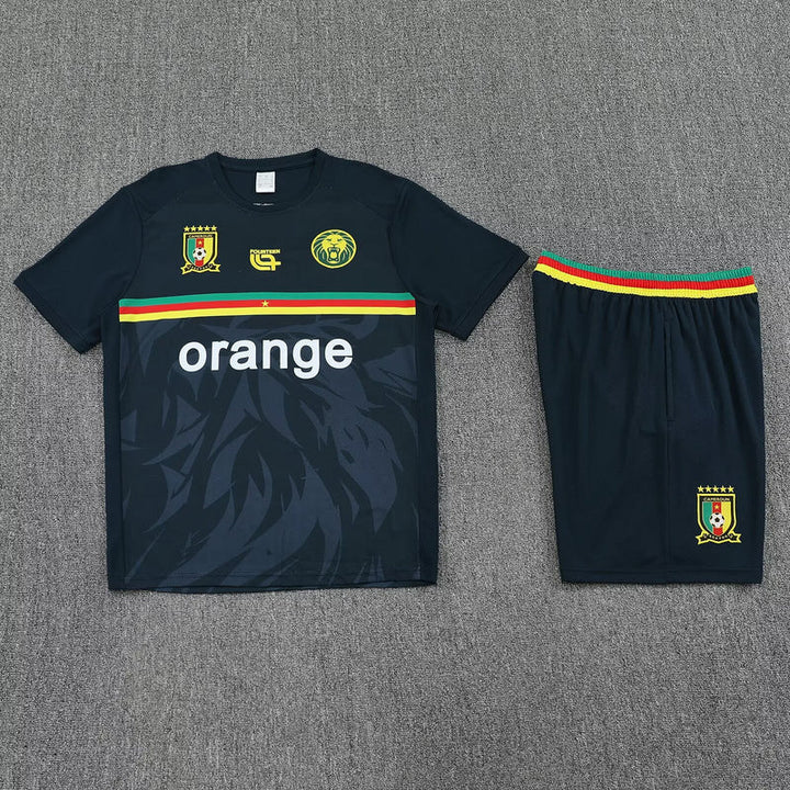 Cameroon Training Set