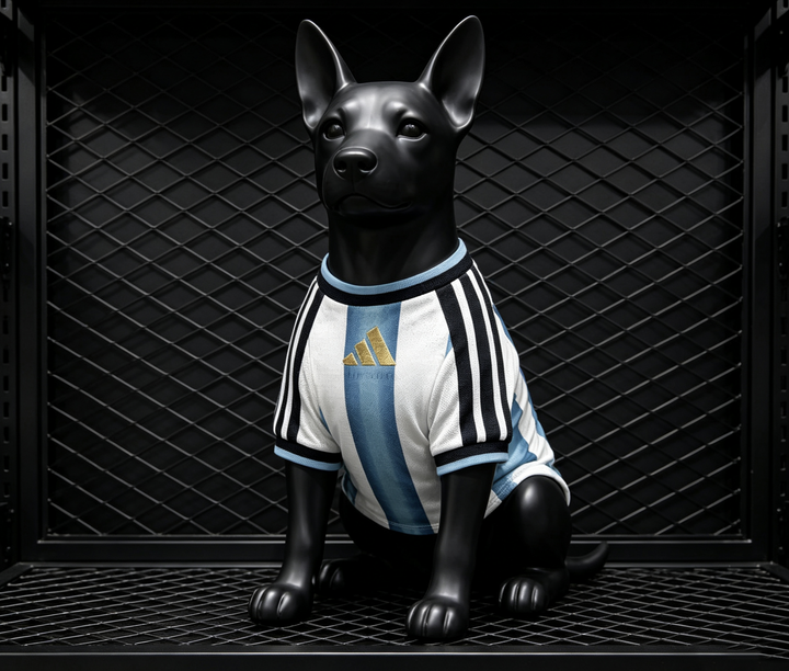 2026 Argentina Home Pet Jersey