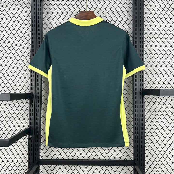2024/2025 Barcelona Special Edition Green Football Shirt 1:1 Thai Quality