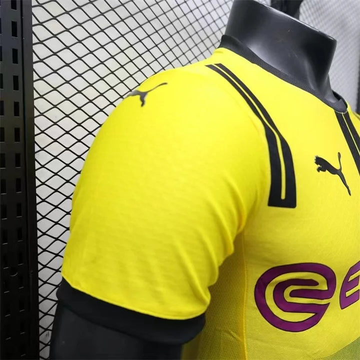 Dortmund 2024/2025 Cup Kit