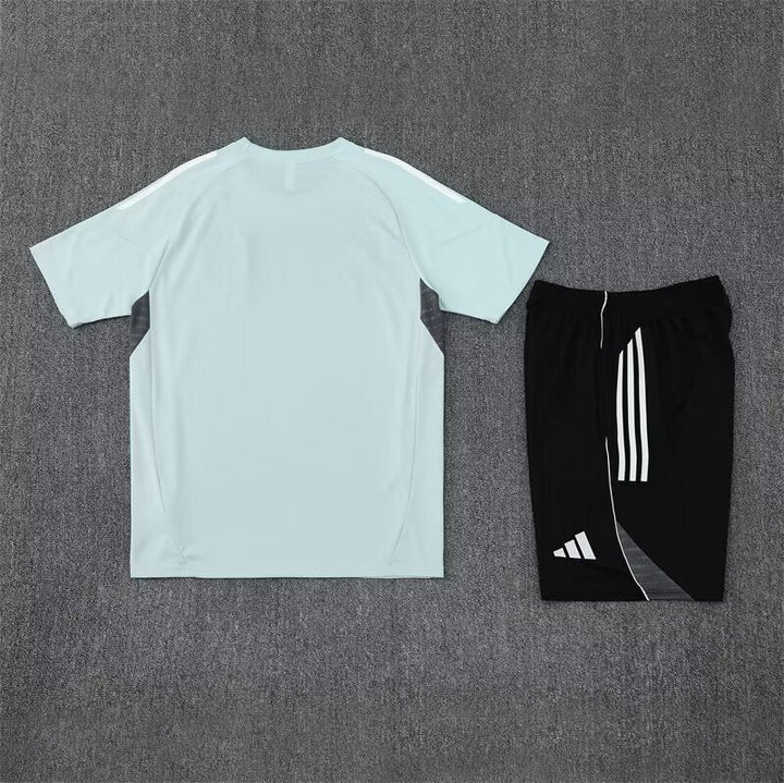 Japan Training Set